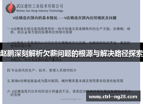 赵鹏深刻解析欠薪问题的根源与解决路径探索