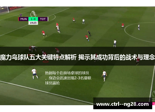 魔力鸟球队五大关键特点解析 揭示其成功背后的战术与理念 魔力鸟球队五大关键特点解析 揭示其成功背后的战术与理念