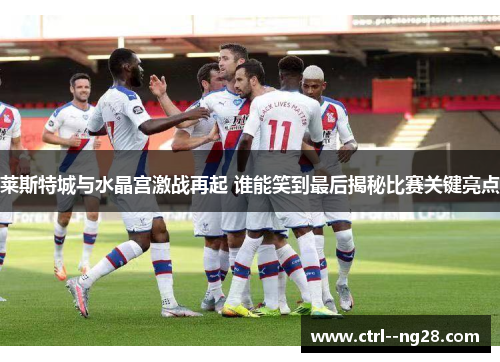莱斯特城与水晶宫激战再起 谁能笑到最后揭秘比赛关键亮点 莱斯特城与水晶宫激战再起 谁能笑到最后揭秘比赛关键亮点