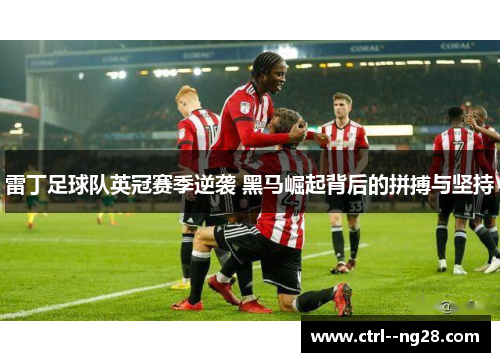 雷丁足球队英冠赛季逆袭 黑马崛起背后的拼搏与坚持