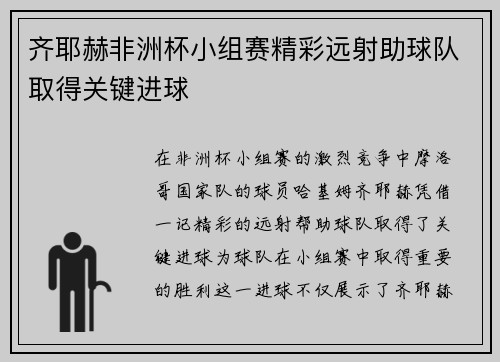 齐耶赫非洲杯小组赛精彩远射助球队取得关键进球